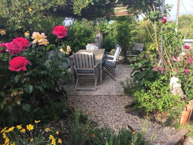 Saint-Thomas-de-Cônac Chez Brown Bed & Breakfast エクステリア 写真