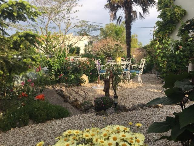 Saint-Thomas-de-Cônac Chez Brown Bed & Breakfast エクステリア 写真