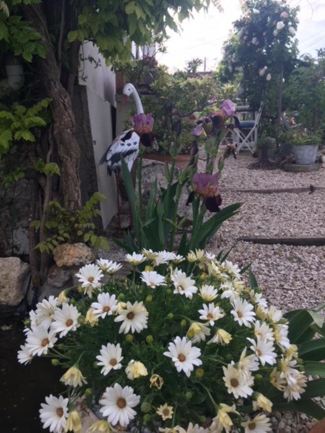 Saint-Thomas-de-Cônac Chez Brown Bed & Breakfast エクステリア 写真