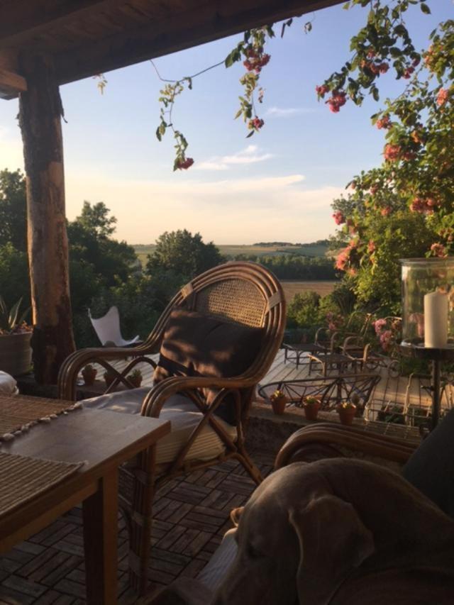 Saint-Thomas-de-Cônac Chez Brown Bed & Breakfast エクステリア 写真