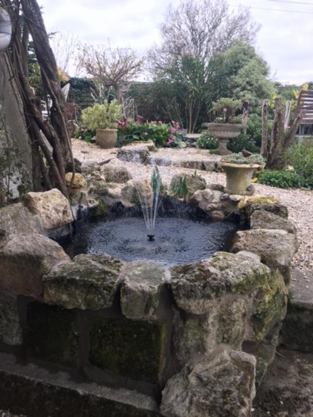Saint-Thomas-de-Cônac Chez Brown Bed & Breakfast エクステリア 写真