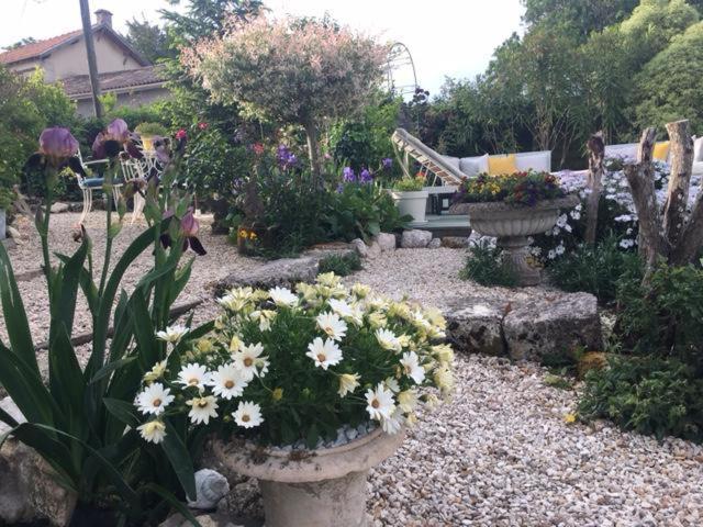 Saint-Thomas-de-Cônac Chez Brown Bed & Breakfast エクステリア 写真