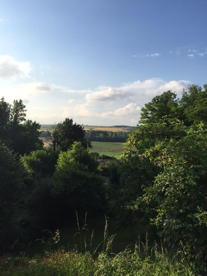 Saint-Thomas-de-Cônac Chez Brown Bed & Breakfast エクステリア 写真