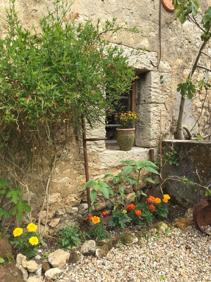Saint-Thomas-de-Cônac Chez Brown Bed & Breakfast エクステリア 写真